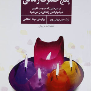 کتاب صوتی پنج حسرت زندگی از برونی ویر