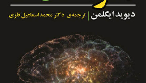 کتاب صوتی مغز؛ داستان شما از دیوید ایگلمن