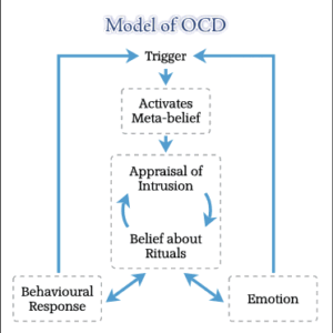 دانلود نمونه فرمولیشن (مفهوم پردازی مورد) برای کیس OCD