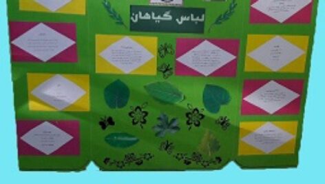 طرح جابر برگ