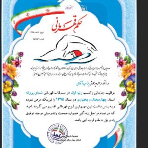 طرح لایه باز لوح تقدیر شنا