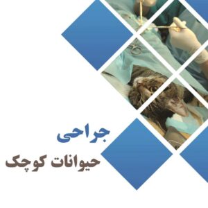 جزوه تایپی و فوق العاده و رنگی جراحی دام کوچک