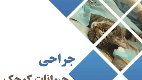 جزوه تایپی و فوق العاده و رنگی جراحی دام کوچک
