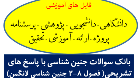 دانلود بانک سوالات جنین شناسی با پاسخ های تشریحی( فصول 8-2 جنین شناسی لانگمن)