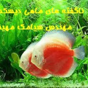 ناگفته های ماهی دیسکس ( Discus Fish Secrets)