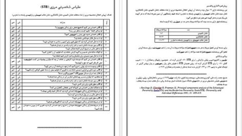 پرسشنامه مقیاس شخصیتی مرزی (STB)