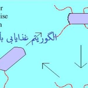 دانلود پاورپوینت الگوریتم بهینه سازی غذایابی باکتری  BFO