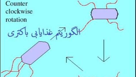دانلود پاورپوینت الگوریتم بهینه سازی غذایابی باکتری  BFO