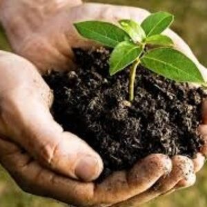 پکیج کامل اموزش ورمی کمپوست