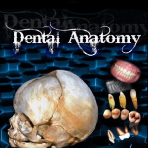 DENTAL ANATOMY .PDF