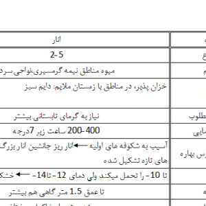 میوه کاری