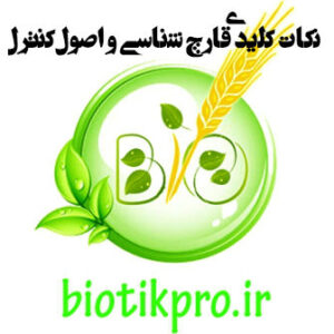 جزوه نكات كليدي قارچ شناسي و اصول كنترل ماهان