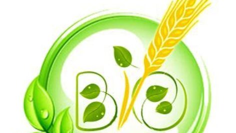دانلود کاملترین مجموعه فیزیولوژی و فیزیولوژی پس از برداشت