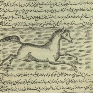 دانلود کتاب کمیاب خواص الحیوان (ترجمه ای فارسی از حیاه الحیوان الکبری) چاپ سنگی قدیمی و مصور+ کتاب انیس العشاق در علم عروض