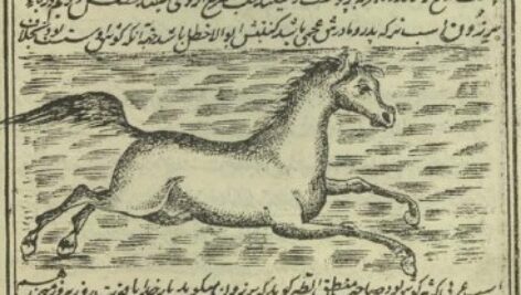 دانلود کتاب کمیاب خواص الحیوان (ترجمه ای فارسی از حیاه الحیوان الکبری) چاپ سنگی قدیمی و مصور+ کتاب انیس العشاق در علم عروض