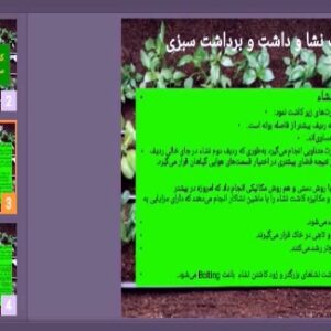 دانلود پاورپوینت کاشت، داشت و برداشت سبزیجات و صیفی جات
