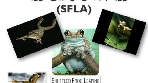 دانلود پاورپوینت الگوريتم جهش ترکیبی قورباغه‌ها(SFLA)