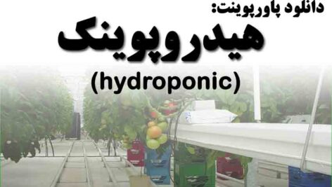 دانلود پاورپوینت هیدروپونیک و استفاده از آن در گلخانه
