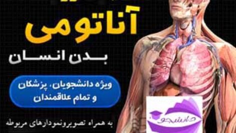 دانلود جزوه PDF آناتومی بدن انسان