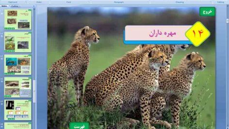 پاورپوینت فصل 14 علوم نهم ( مهره داران )