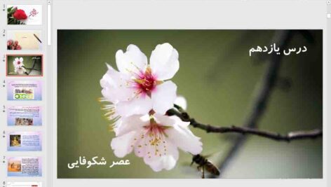 پاورپوینت درس 11  دین و زندگی دوازدهم انسانی ( عصر شکوفایی )