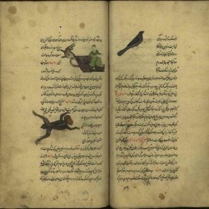 عجایب البحر والبر(عجایب واختیارات)