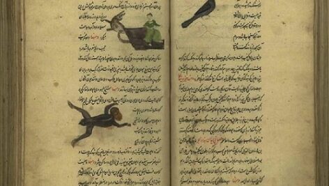 عجایب البحر والبر(عجایب واختیارات)