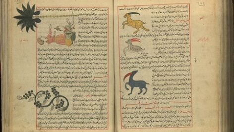 خواص الموجودات (مصور)