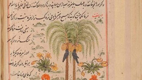 فرخنامه (منافع الحیوان مصور)