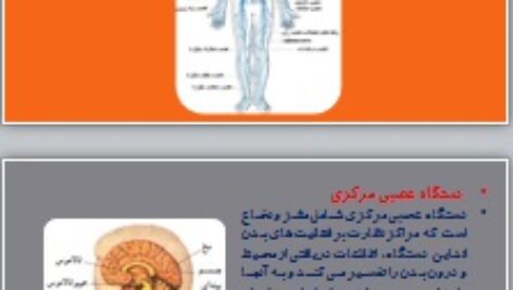 پاورپوینت فصل اول گفتار دوم زیست شناسی تجربی یازدهم