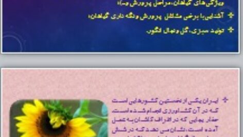پاورپوینت پودمان پرورش و نگه داری گیاهان کار و فناوری هفتم