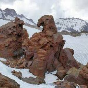 نشانه حیوانات در گنج یابی