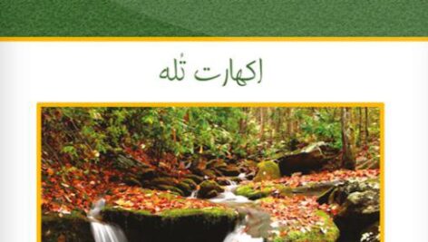 دانلود کتاب صوتی سکون سخن می‌گوید زمانی برای اندیشیدن اثر جذاب اکهارت تول MP3