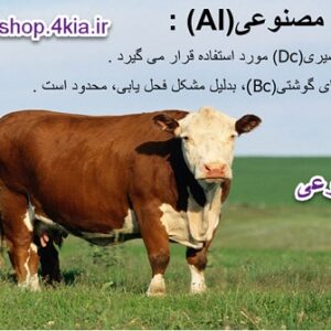 تلقیح مصنوعی در گاو شیری ( پاورپوینت )