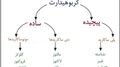 پاورپوینت کامل و جامع با عنوان کربوهیدرات ها (قندها) در 60 اسلاید