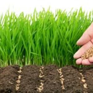 پاورپوینت کامل و جامع با عنوان انواع روش های تکثیر گیاهان در 49 اسلاید