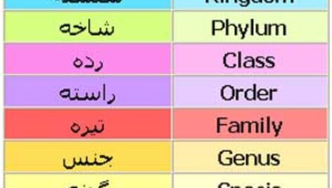 پاورپوینت کامل و جامع با عنوان تاکسونومی گیاهی و تاریخچه آن در 78 اسلاید