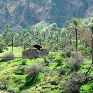 پاورپوینت کامل و جامع با عنوان بررسی شهر جم در 22 اسلاید