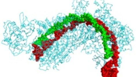 پاورپوینت کامل و جامع با عنوان بررسی کریسپر یا CRISPR در 29 اسلاید