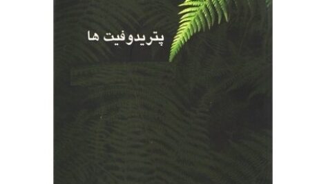 پاورپوینت کامل و جامع با عنوان پتریدوفیت ها یا نهانزادان آوندی در 151 اسلاید