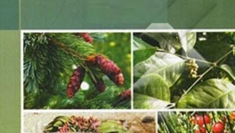 پاورپوینت کامل و جامع با عنوان بازدانگان در 54 اسلاید