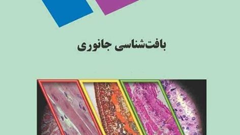 پاورپوینت کامل و جامع با عنوان بافت شناسی جانوری در 284 اسلاید
