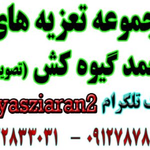 دانلود مجموعه تعزیه های تصویری احمد گیوه کش (بلبل) از سال 1360 تا آخرین تعزیه (استریو یاس زیاران)