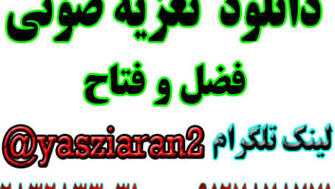 دانلود تعزیه صوتی فضل و فتاح . امیر صفری . گلختمی . رضایی . کلانتری . گلختمی .  صالحی . لنکرانی 97 نیم ور