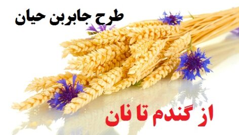 دانلود طرح جابربن حیان از گندم تا نان