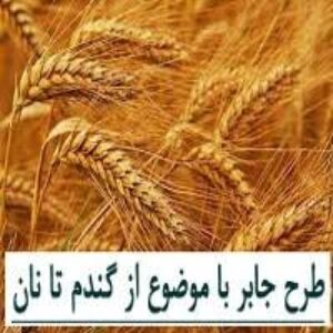 برگزیده طرح جابر اول ابتدایی 1400-1399 بهترین فایل و کارتو پلاست از دانه تا خانه ( مراحل تولید نان )همراه با دفتر کارنما