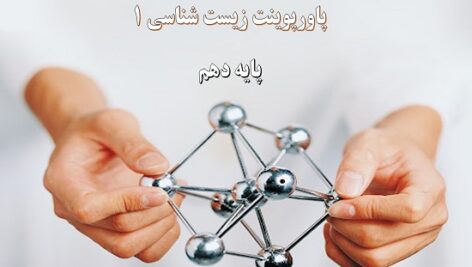 پاورپوینت گفتار 4 فصل 2 زیست شناسی پایه دهم تنوع گوارش در جانداران