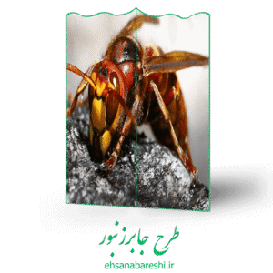 طرح جابر زنبور