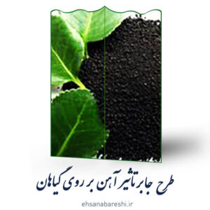 طرح جابر تاثیر اهن بر رشد گیاهان