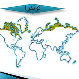 پاورپوینت آشنایی با اکولوژی محیطهای مختلف ( بیوم ها )